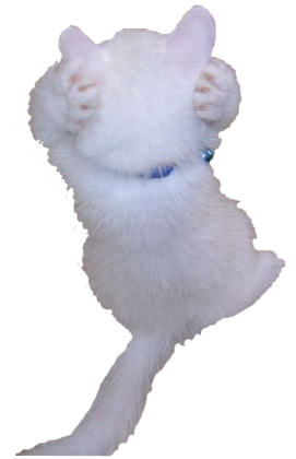 aaa.png